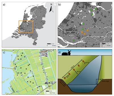 Local Functioning, Landscape Structuring: Drivers of Soil Microbial Community Structure and Function in Peatlands